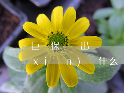 巨額保單頻出？律師告訴你：保險(xiǎn)為什么會(huì)這么火。
